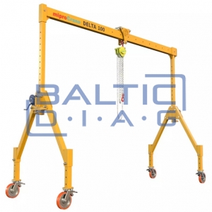 Mobile gantry crane Delta 100