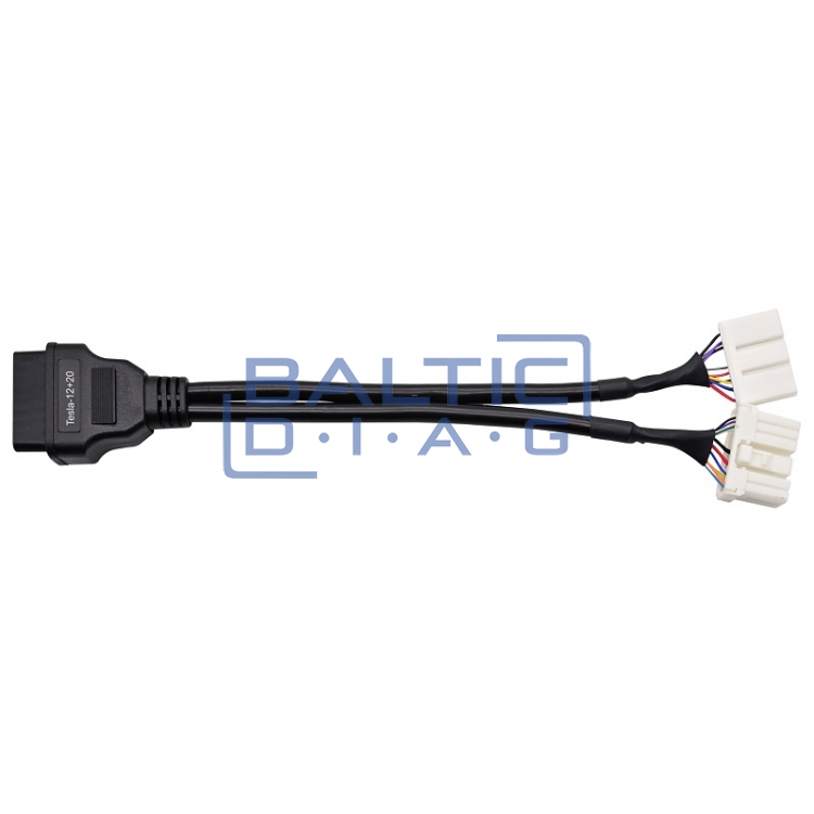 Database license Tesla with connections