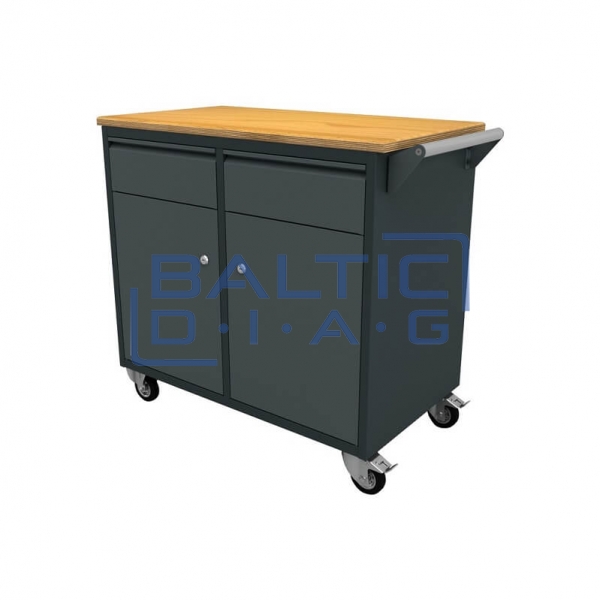 Mobile Workbench with 2 Drawers and 2 Doors for Workshops