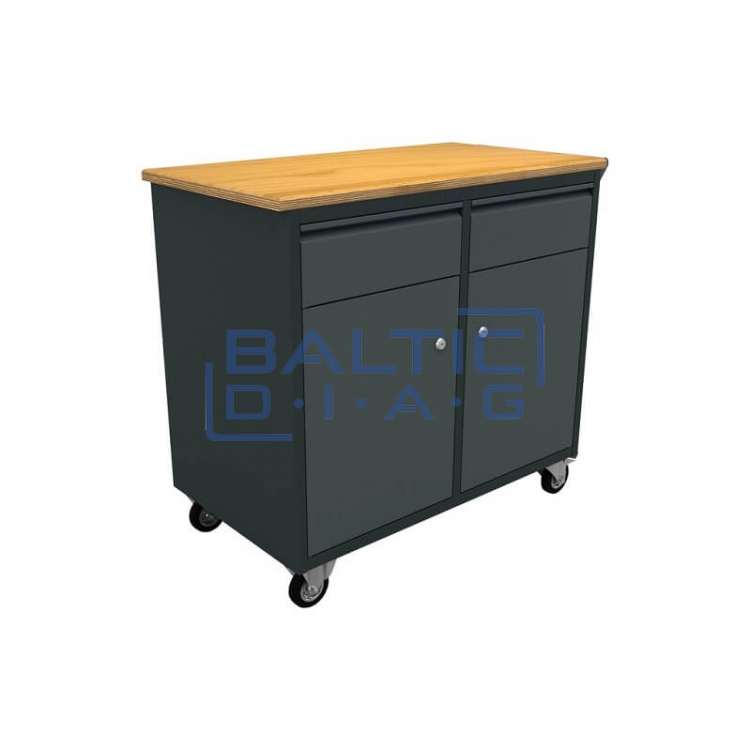 Mobile Workbench with 2 Drawers and 2 Doors for Workshops