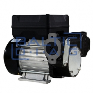 Diesel transfer pump with digital meter 220V