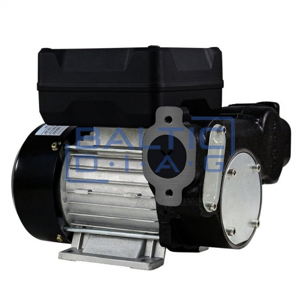Diesel transfer pump with digital meter 220V