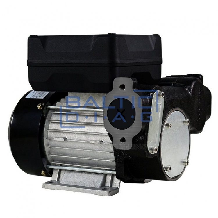 Diesel transfer pump with digital meter 220V