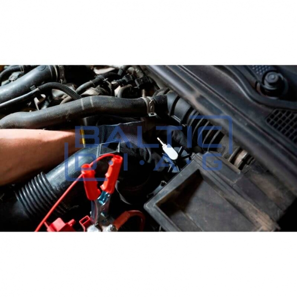 Electronic brake bleeding system PRO BLEEDER (20L)