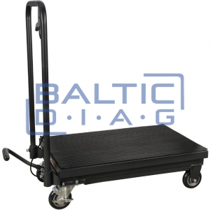 Mobile hydraulic lifting table 225 kg Mammuth