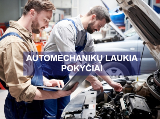 Automechanikų laukia pokyčiai – naikinami verslo liudijimai