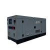 Stacionarus dyzelinis generatorius BD-40, 40 kW