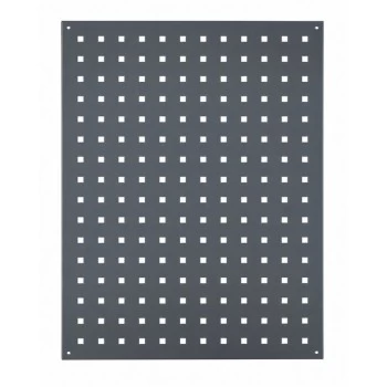Perforuota sienelė 600 x 730 x 20 mm