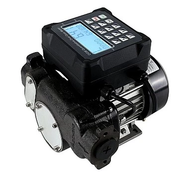 Diesel transfer pump with digital meter 220V