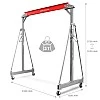 Mobile gantry crane 3T MW Tools
